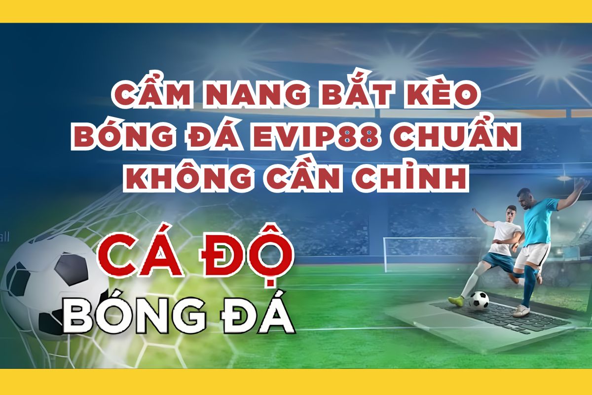 Cẩm Nang Bắt Kèo Bóng Đá EVIP88 Chuẩn Không Cần Chỉnh