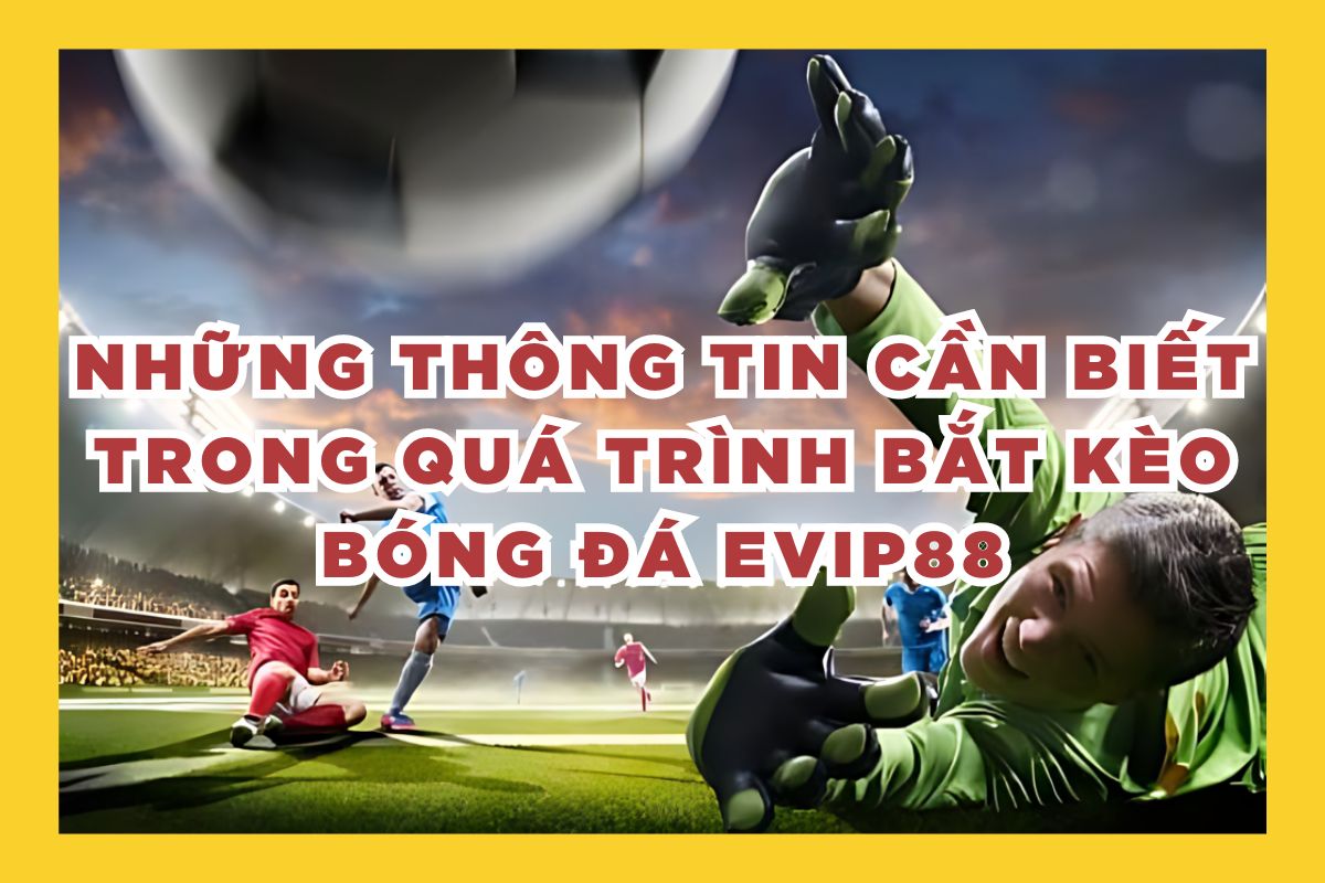 Những thông tin cần biết trong quá trình bắt kèo bóng đá EVIP88