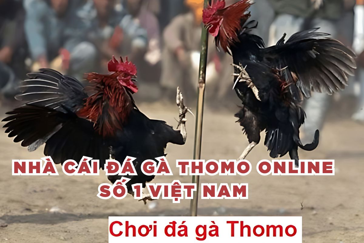 Nhà cái đá gà thomo online số 1 Việt Nam