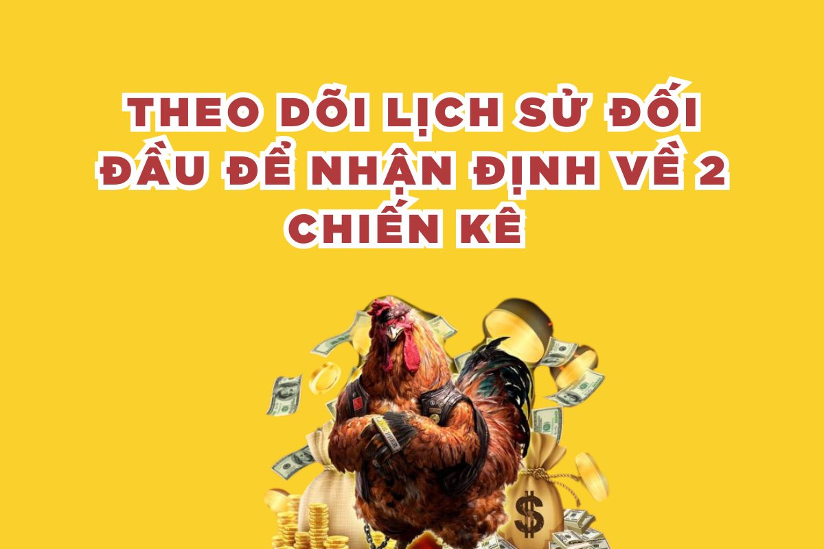 Theo dõi lịch sử đối đầu để nhận định về 2 chiến kê 